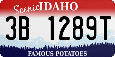 ID license plate 3B1289T