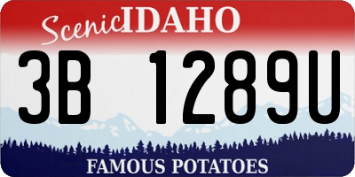 ID license plate 3B1289U