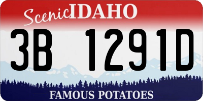 ID license plate 3B1291D