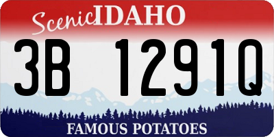 ID license plate 3B1291Q
