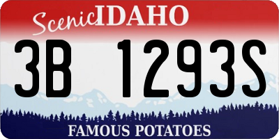 ID license plate 3B1293S