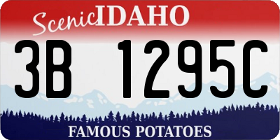 ID license plate 3B1295C