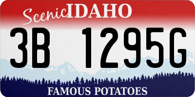 ID license plate 3B1295G