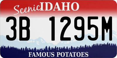 ID license plate 3B1295M