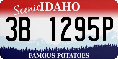 ID license plate 3B1295P