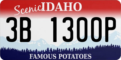 ID license plate 3B1300P
