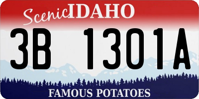 ID license plate 3B1301A