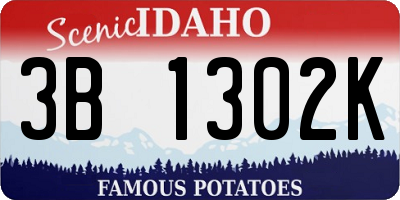 ID license plate 3B1302K
