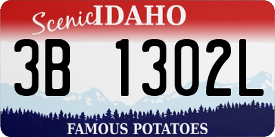 ID license plate 3B1302L