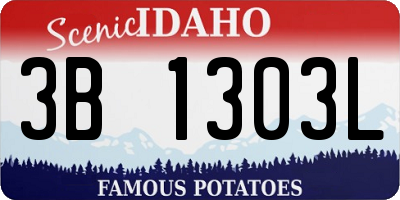 ID license plate 3B1303L