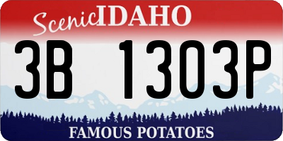 ID license plate 3B1303P