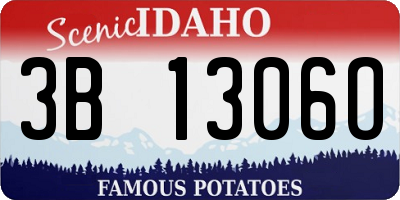 ID license plate 3B1306O