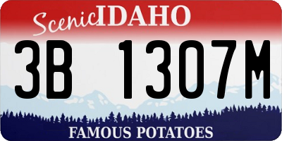 ID license plate 3B1307M