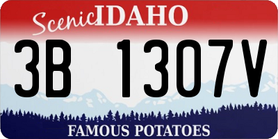 ID license plate 3B1307V