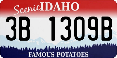 ID license plate 3B1309B