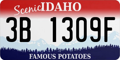 ID license plate 3B1309F