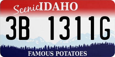 ID license plate 3B1311G
