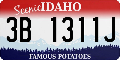 ID license plate 3B1311J