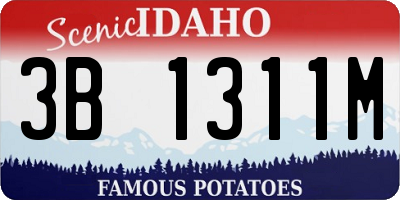 ID license plate 3B1311M