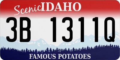 ID license plate 3B1311Q