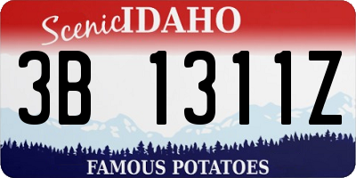 ID license plate 3B1311Z