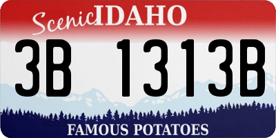ID license plate 3B1313B