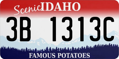 ID license plate 3B1313C