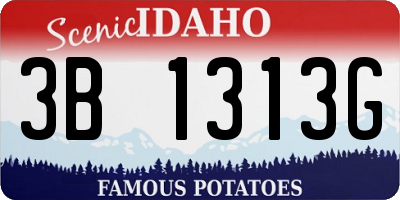 ID license plate 3B1313G