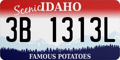 ID license plate 3B1313L