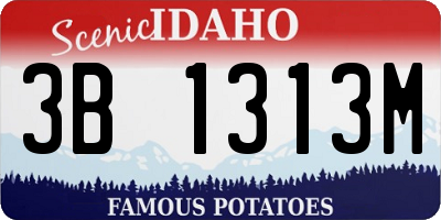 ID license plate 3B1313M