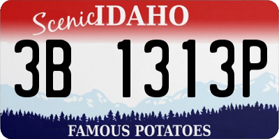 ID license plate 3B1313P