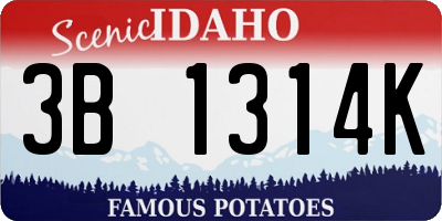 ID license plate 3B1314K