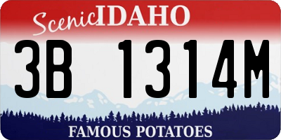 ID license plate 3B1314M