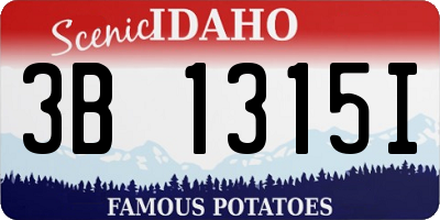 ID license plate 3B1315I