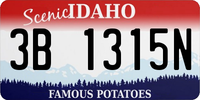 ID license plate 3B1315N