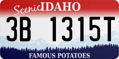 ID license plate 3B1315T