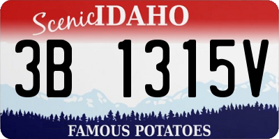 ID license plate 3B1315V