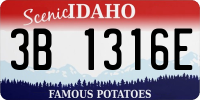 ID license plate 3B1316E
