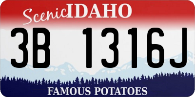 ID license plate 3B1316J