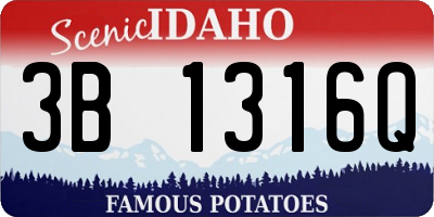 ID license plate 3B1316Q