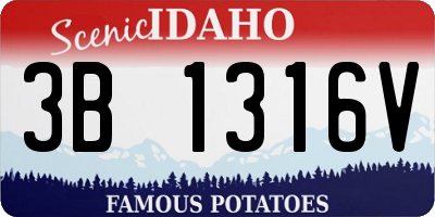 ID license plate 3B1316V