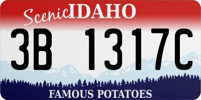 ID license plate 3B1317C