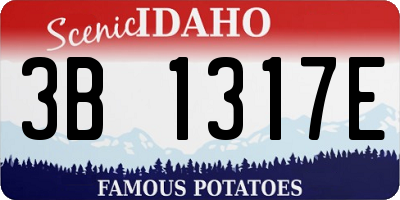 ID license plate 3B1317E