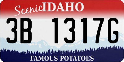 ID license plate 3B1317G