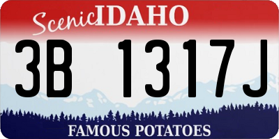 ID license plate 3B1317J