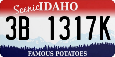 ID license plate 3B1317K