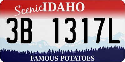 ID license plate 3B1317L