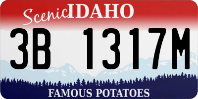 ID license plate 3B1317M