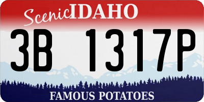 ID license plate 3B1317P