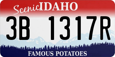 ID license plate 3B1317R